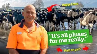 Rubber Mats: 15+ Years of Tough Durability on a Waikato Dairy Farm