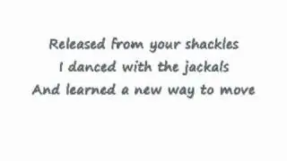 Villagers - Becoming A Jackal (with lyrics)