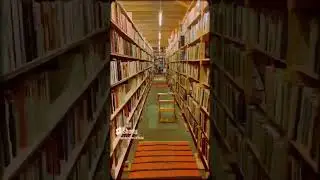 A visual journey through a Book Town 📚📚 #explore #travel #reading #booktown
