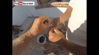 Baja Live Stream Fresh Crawfish in Baja