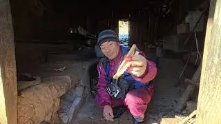 굴피집 어르신 금년96세 큰아들 집에가셨다 추운 겨울에 집관리 군불넣기 ᆢ