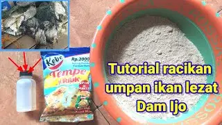 racikan umpan ikan patik/kakap batu