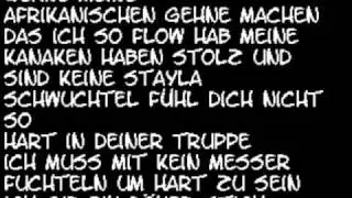 punchlinegewitter lyriks