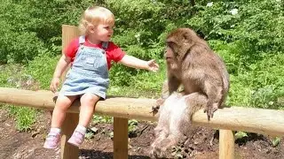 When Your Baby and Animals Make Friends Beyond Boundaries ❤️