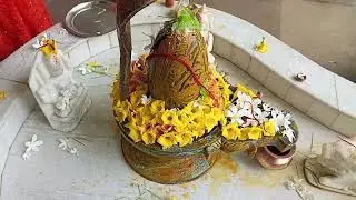 bholenath decorated by shyam sunder events solutions #viral