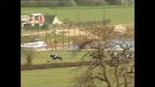 Dog in Horse Race