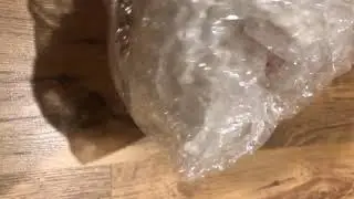 Stemless Wine Glasse
