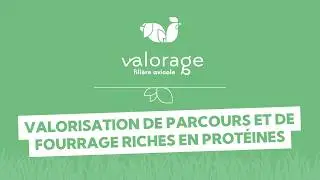 VALORAGE - Filière avicole - Valorisation de parcours et de fourrage riches en protéines