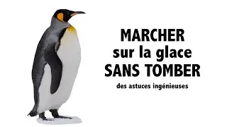 Comment MARCHER sur la glace SANS TOMBER! Des astuces ingénieuses.