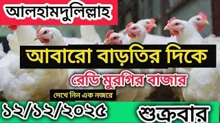 Today's Wholesale Rate &ndash; Broiler Chicken & Golden Chicken (Bangladesh Chicken Wholesale Price Today)