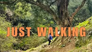 No Talking Hiking Near Shanghai | Immersive Forest & Water Sounds
