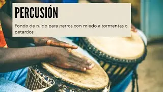 😴Música tribal para RELAJAR😴 a perros con MIEDO a ruidos