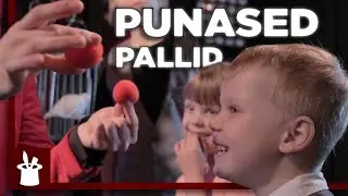 PUNASED PALLID - Mustkunstitrikk