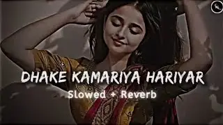 আরে বুলা আরে বুলা আরে বুলা বুলা Dhake kamariya hariyar sadiya ( slowed+reverb ) songs