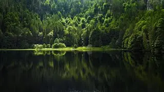 Black Forest Germany & Aerial View 4K Ultra HD.