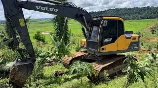 Escavadeira arando terra para plantio de capim 