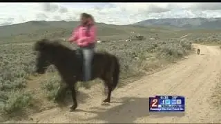 1/21 Nevada Backroads
