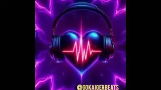 Vincezo@Gokaigerbeats