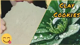 @vlogbela7884 dry clay cookies eating || dry cookies || cookies crunch || soft and earthy