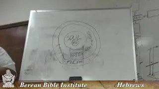 Berean Bible Institute