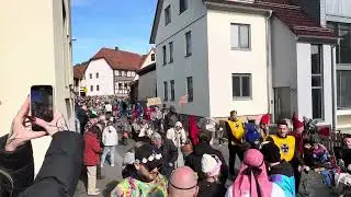 Gaudiwurm Diebach Faschingszug Dienstag Fu&szlig;gruppe ￼2025 Hubert Fella #hubertfella