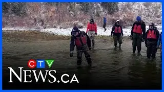 Trout count provides crucial info on local ecosystem