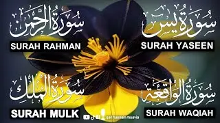 Surah Yasin ❤️ (Makki), Rahman, Waqiah & Mulk | Ep 282 | Daily Quran Recitation & Blessings