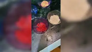 Home made Paan ice-cream