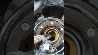 Full Tank Pulsar N150 💥 | 14 Litres Petrol tank #tank Full #fueltank