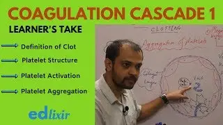 COAGULATION CASCADE - 1 | BLOOD COAGULATION | HEMATOLOGY