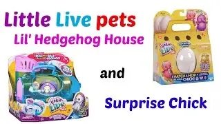 Little live pets Surprise hatching chick and Lil' Hedgehog and House.