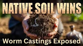 Forget Worm Castings! Native Soil Builds Fertility BETTER Than Anything You Can Buy