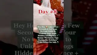 Day 8 🎄🌟 www.feathersandfurryfriends.com   #braintraining4dogs #petsafety #feathersandfurryfriends