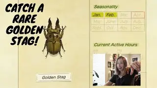 Как поймать РЕДКОГО золотого оленя! Animal Crossing: New Horizons