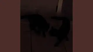 mayhavetakentoomuch