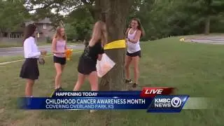 Teens tie gold ribbons on trees to bring awareness to childhood cancer