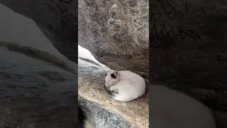 Gar e Hira | cave Hira ❤️🕋