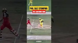 Ms dhoni phil salt stumping full video | ms dhoni phil salt stumping video #msdhoni #newsuniverse