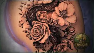 Inked Girls Body Compilation 2026 Silhouette & Bodyart