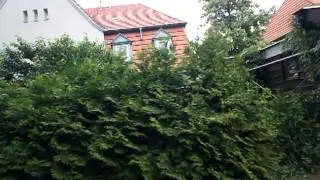 ГДР Дальгов Dallgow велик-3 Август 2011