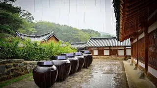 마당에 내리는 빗소리 3시간 | Backyard Rain Sounds for Sleep, Relax, Study (3H ASMR)_10분 후 검은화면