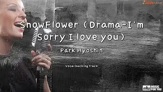 SnowFlower (Drama-I`m Sorry I love you) - Park Hyoshin (Instrumental & Lyrics)