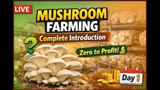 Day-1 Mushroom Farming for Beginners | Complete Introduction (Zero to master )