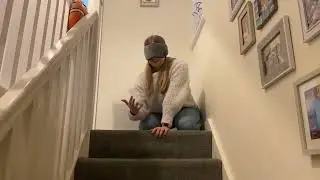 Training A Blind Dog To Use The Stairs
