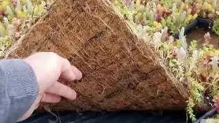 How to use Etera Sedum Tiles&reg; on steep hillsides, banks and slopes