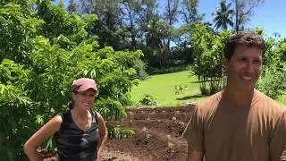 Tour of the Kauai Farmacy Organic Gardens with over 70 different medicinal plants