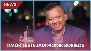 Bobibos Mulai Produksi di Timor Leste, Indonesia Menyusul jika Regulasi Siap