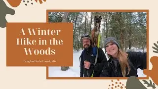 Snowshoe hike through the snowy woods at Douglas State Forest in Massachusetts