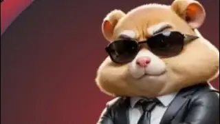 Hamster kombat Daily combo card 12 August