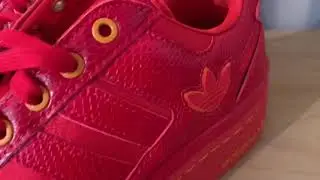 Adidas Forum Bold